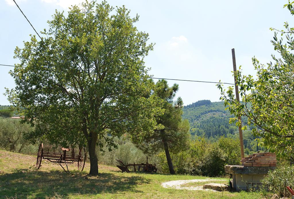 La Pietraia *