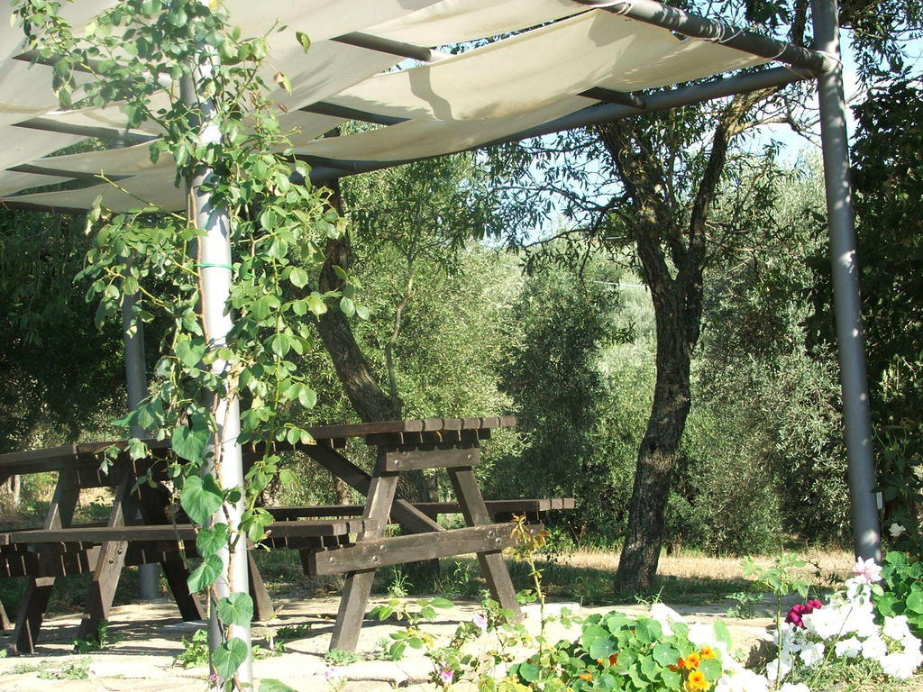 Apartment La Pietraia *
