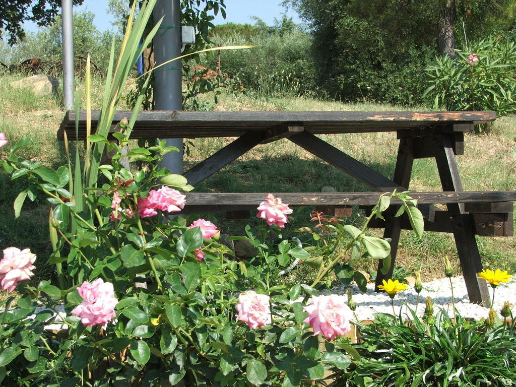 Apartment La Pietraia Panicale